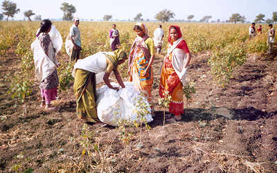 Livelihoods & Enterprise Development